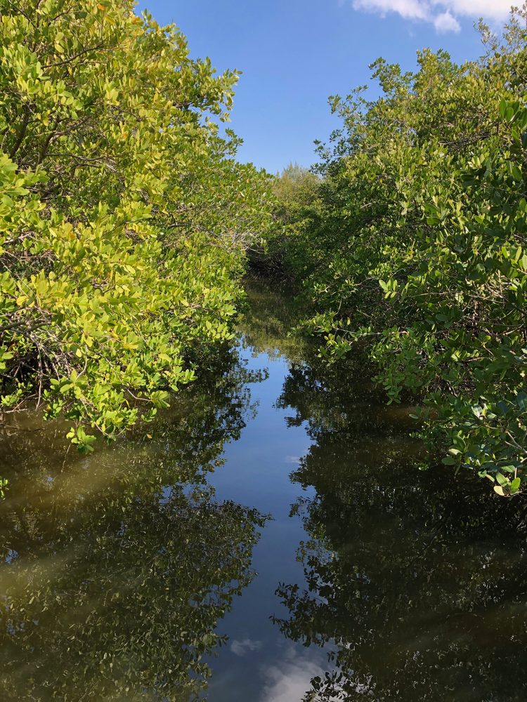 Island walking and food